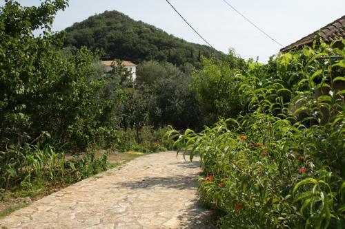 Apartamento Katerina Rooms