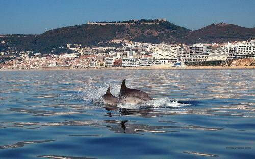 Chincha Sesimbra Apartment