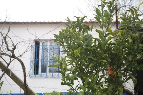 Apartamento Sintra Nomad Lodge