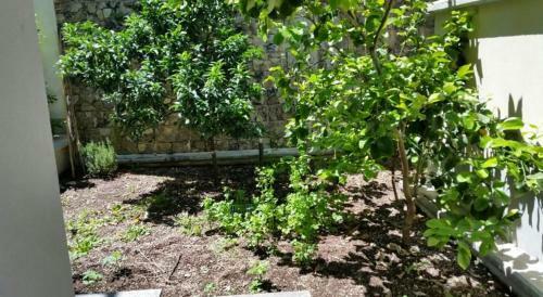 Apartamento Casa Al Prino Con Giardino E Box