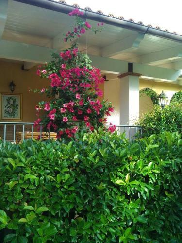 B&B La Dimora Di Alfonso