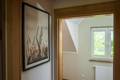 Lodge Domki Nordic