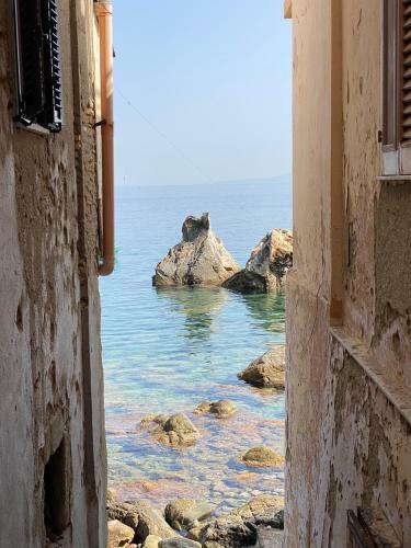Casa Vita Scilla
