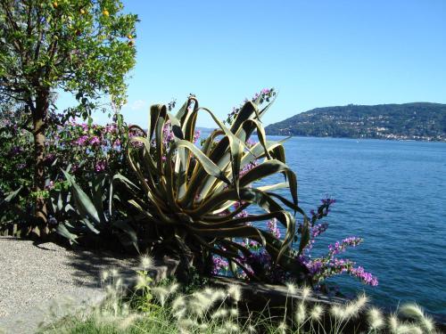 Bed & Breakfast Gli Oleandri