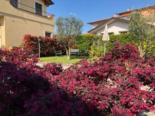 Bed & Breakfast B & B Da Ferro