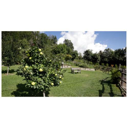 Apartamento Agriturismo Il Castagneto Di Apella