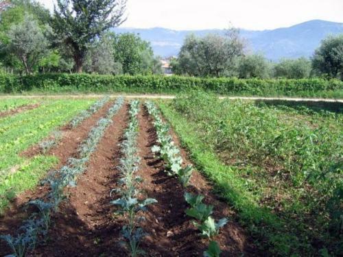 Agroturismo Antica Quercia