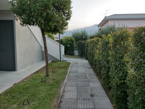 Sicily For Rent