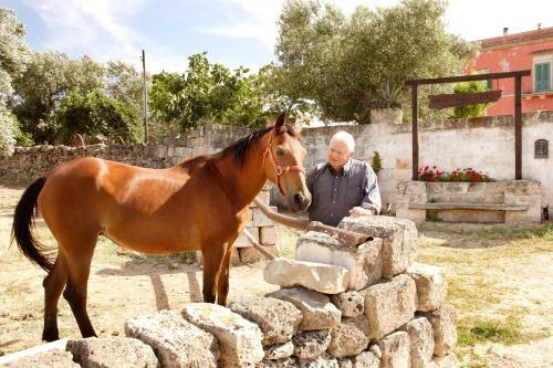 Agroturismo Masseria Curatori