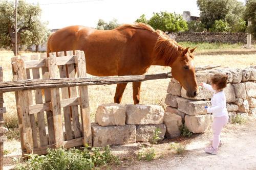 Agroturismo Masseria Curatori
