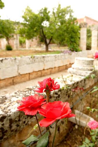 Agroturismo Masseria Curatori
