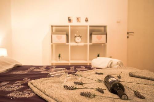 Apartment Senkic