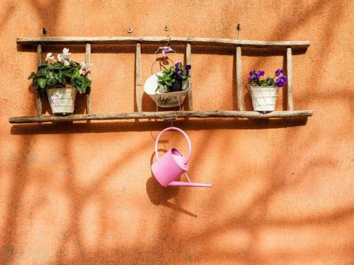 Agroturismo Agriturismo Alberese Sasso Rosso
