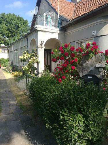 Hostal Pas Emilija
