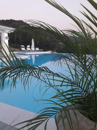 Hotel White Club Residence