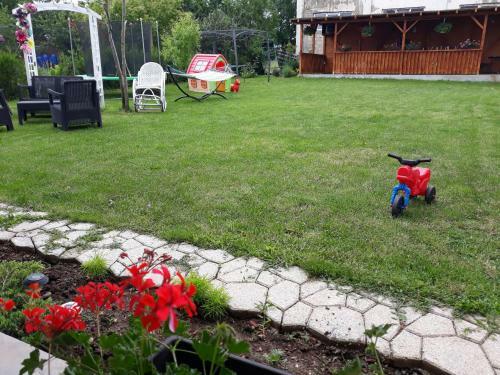 Hostal Casa Cu Flori