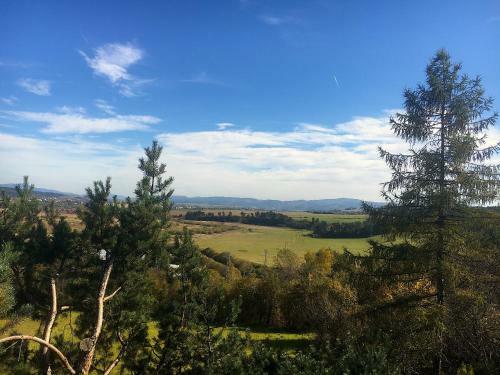 Bed & Breakfast Villa Lupu