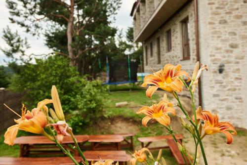 Bed & Breakfast Villa Lupu