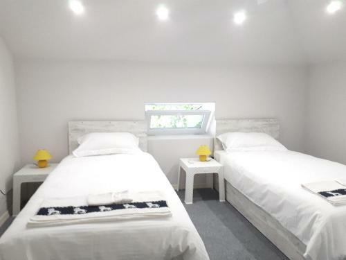 Top Center 4-bedroom Apartment