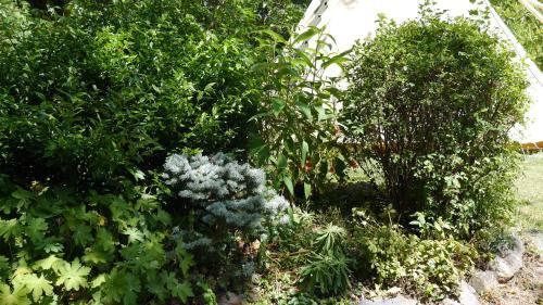 Camping Jardin La Vie En Vert En Ari�ge