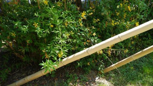 Camping Jardin La Vie En Vert En Ari�ge
