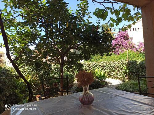 Apartamento Flora A2