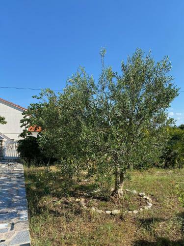 Novalja Apartments By Nena