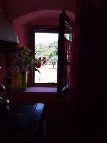 Apartamento Appartamento A Campiglia Marittima