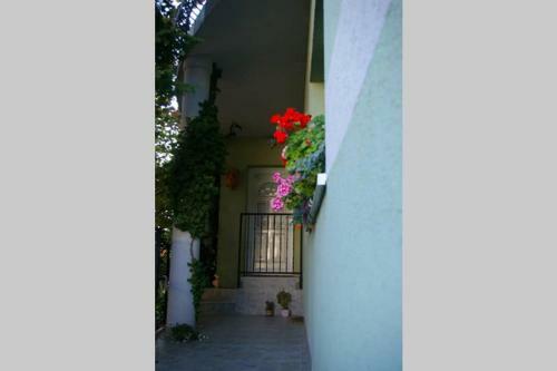 Balatonfest? Apartman Veszpr�m