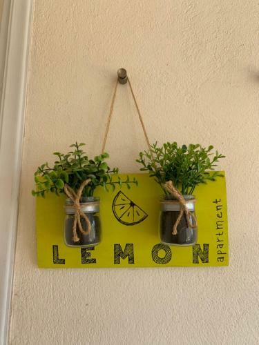 Lemon City Apartment