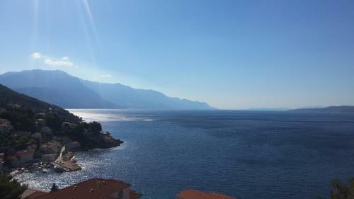 Apartamentos Villa Noa Mimice