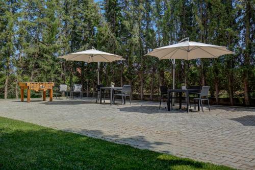 Manta Guest - Bed & Breakfast