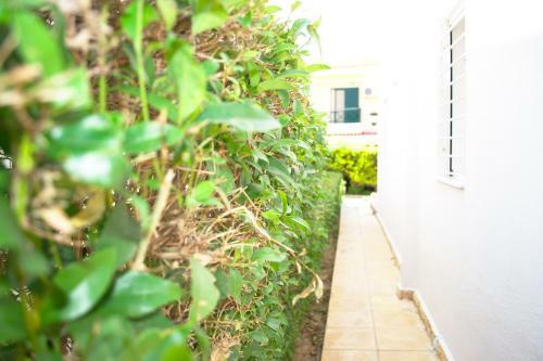 Apartamento Oikismos Neakitos Apt 4