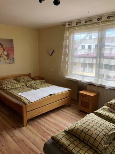 U Pauli I Eryka