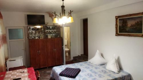 Agroturismo Casa Din Gradina
