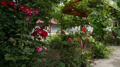 Agroturismo Casa Din Gradina