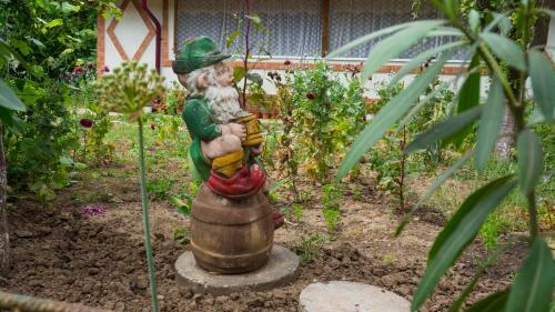 Agroturismo Casa Din Gradina