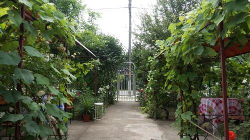 Agroturismo Casa Din Gradina