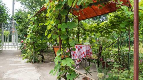 Agroturismo Casa Din Gradina