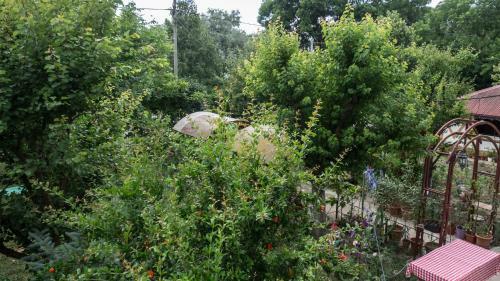 Agroturismo Casa Din Gradina