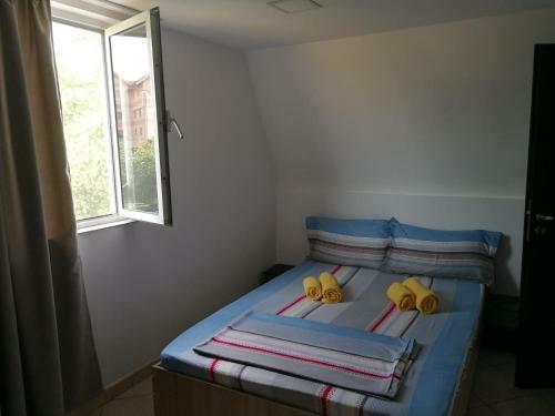 Hostal Vila Mirela Costinesti