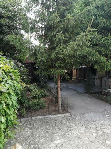 Hostal Vila Mirela Costinesti