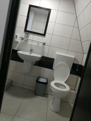Hostal Vila Mirela Costinesti