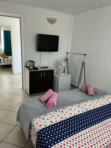 Hostal Vila Mirela Costinesti