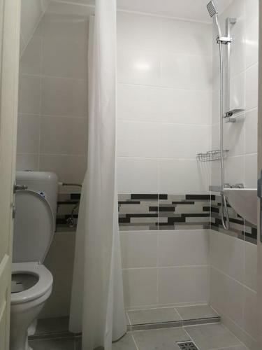 Hostal Vila Mirela Costinesti