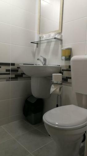 Hostal Vila Mirela Costinesti