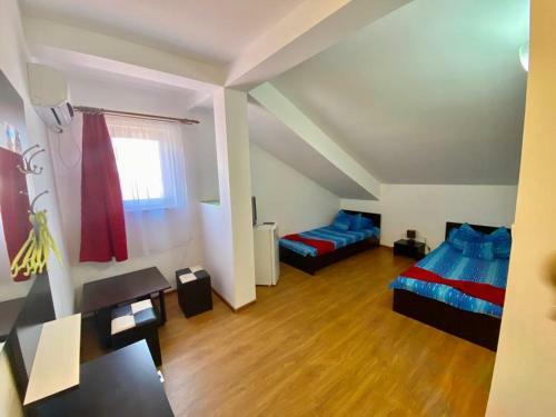 Villa Iorga's House