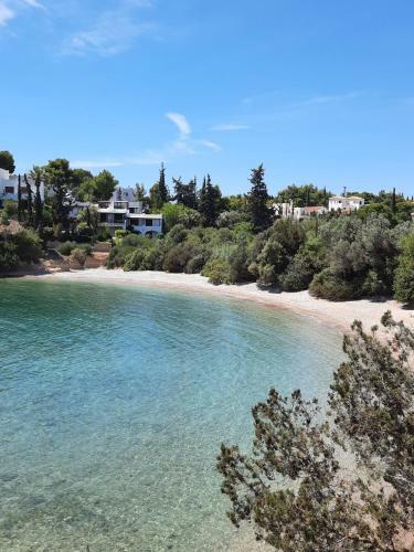 Apartamento Family Resort