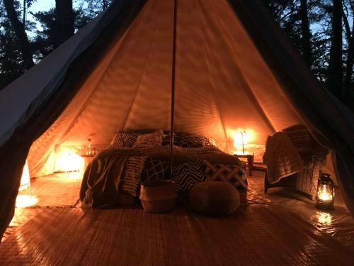 Lodge Glamping Myttinge