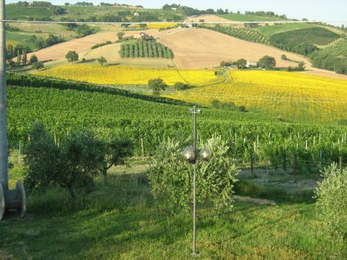 Bed & Breakfast Il Pozzo Di Vivalpa